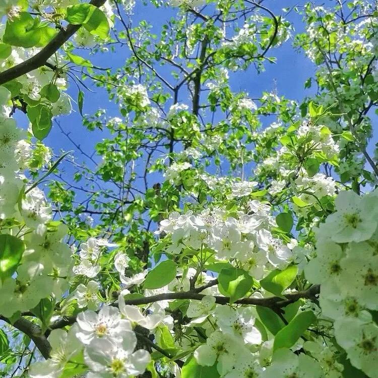 柒幽Qiu₍˄·͈༝·͈˄*₎◞ ̑̑