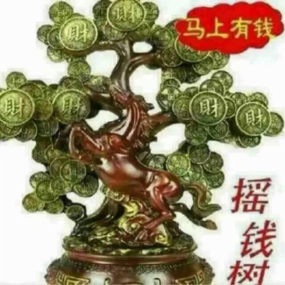 无忧哥