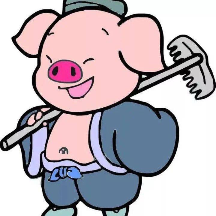 二师兄🐷