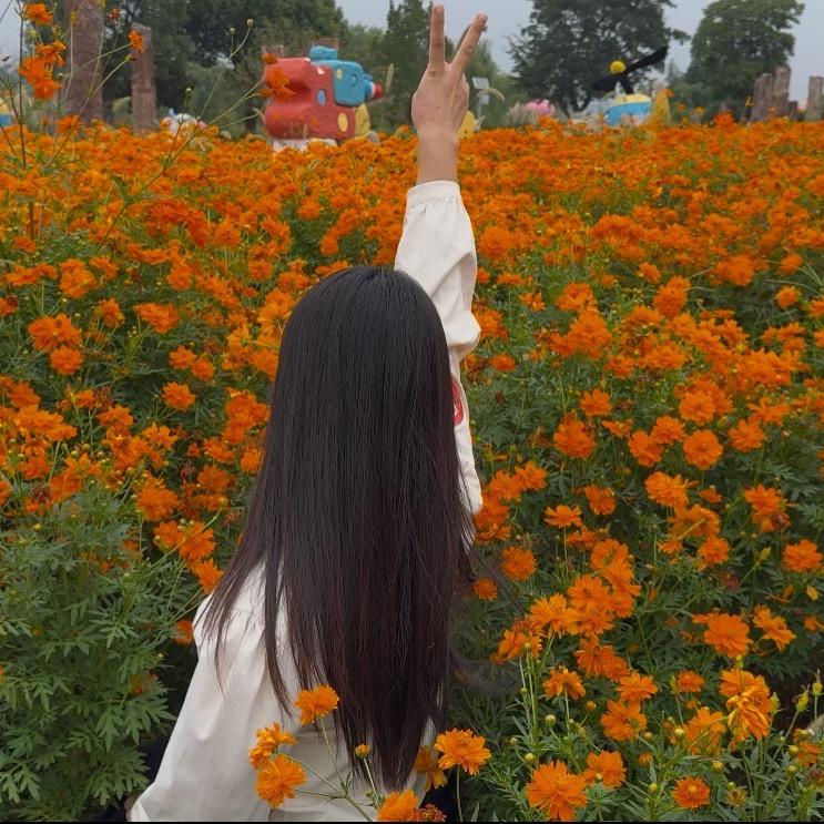 陈大嘴~