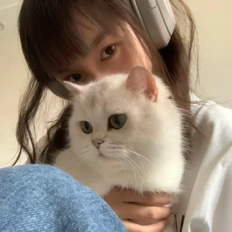 雨季总困