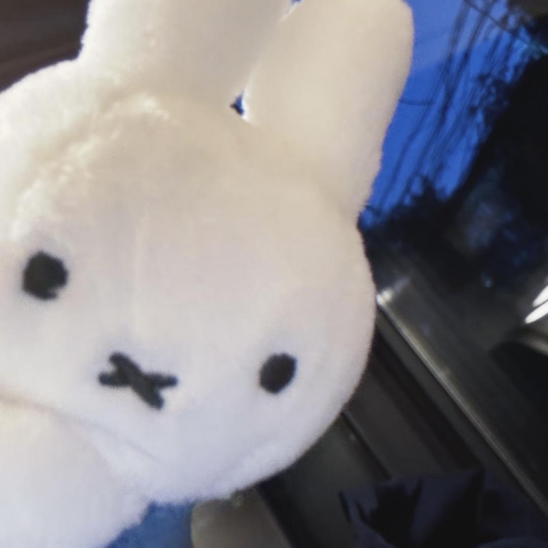 田兮不吃肥嘎