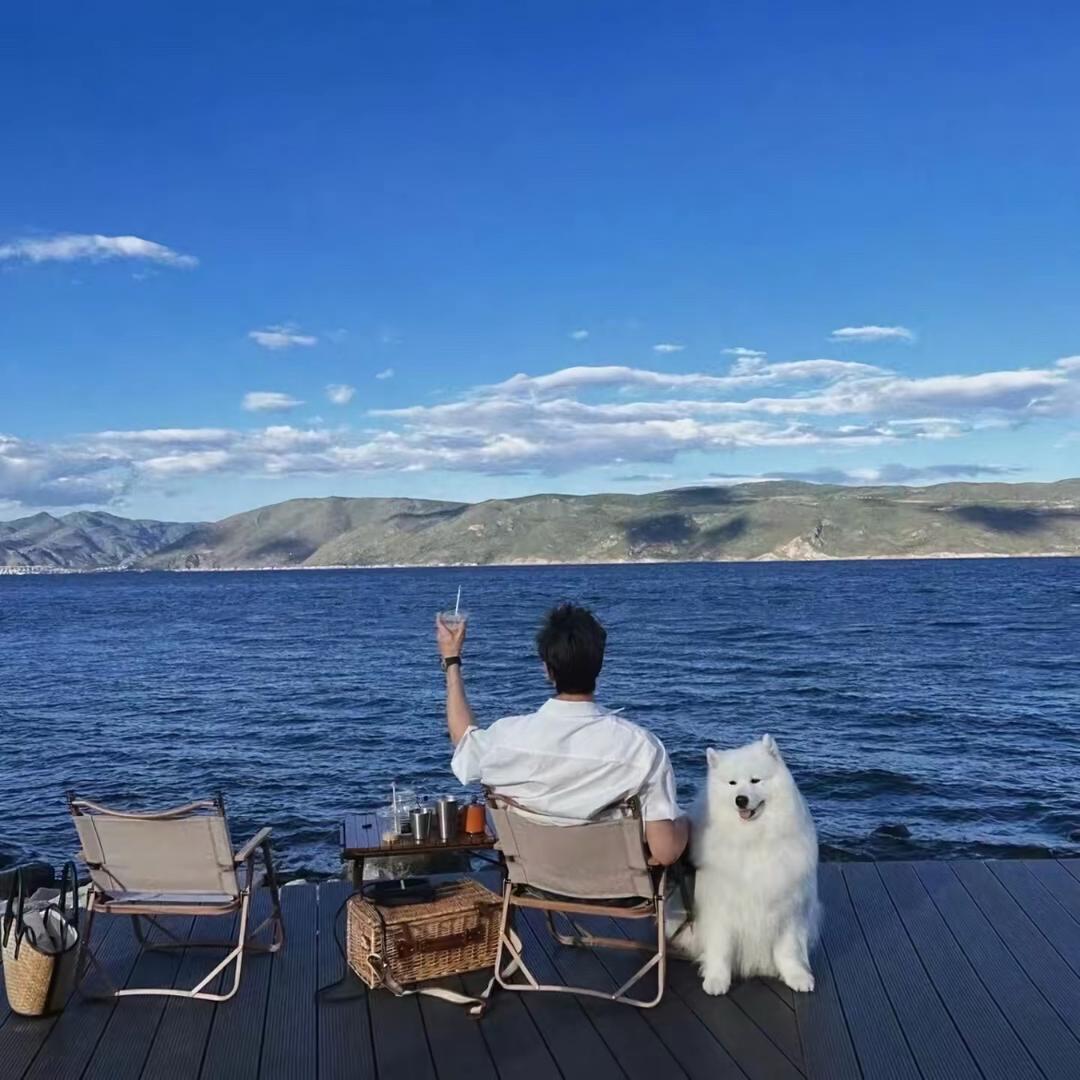 开舒克的贝塔🚶