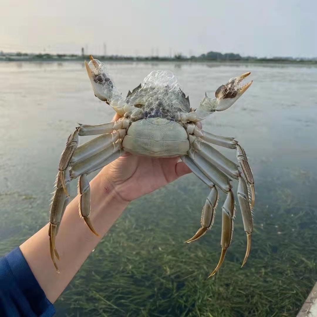 水产小宋出货日常