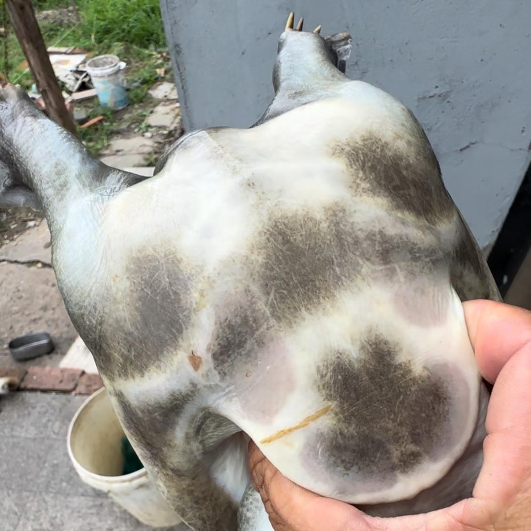 刘华民农副产品