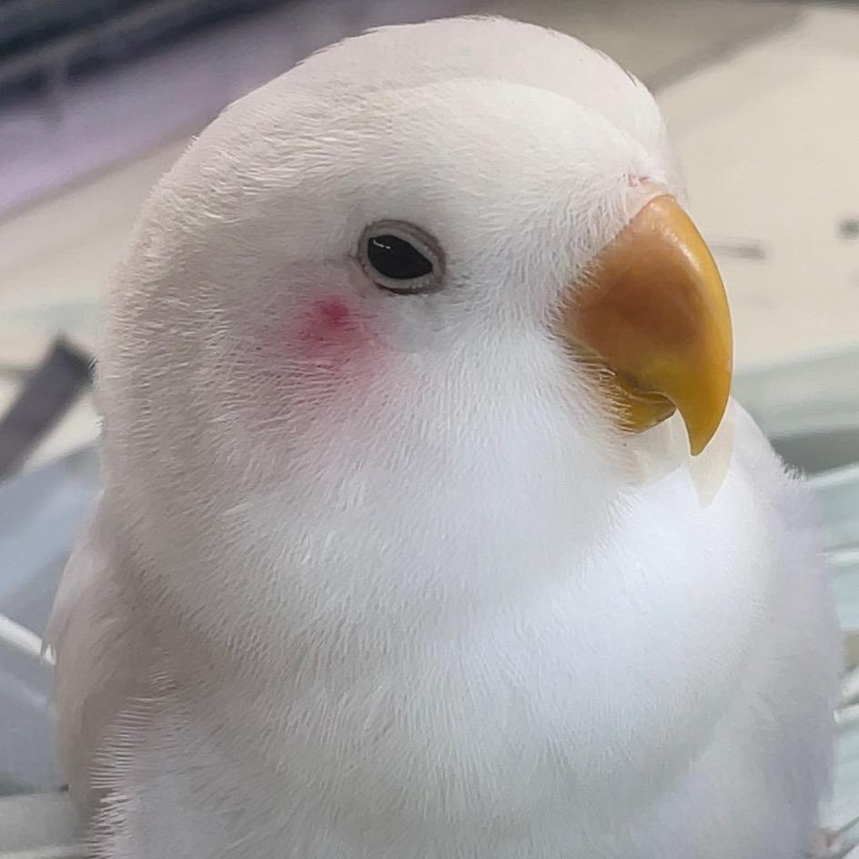 两千万