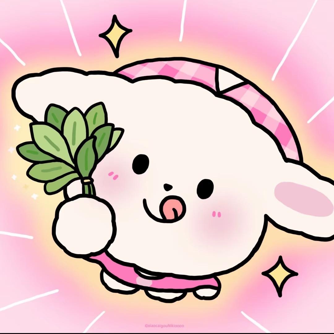 小狗不长黑夜圈