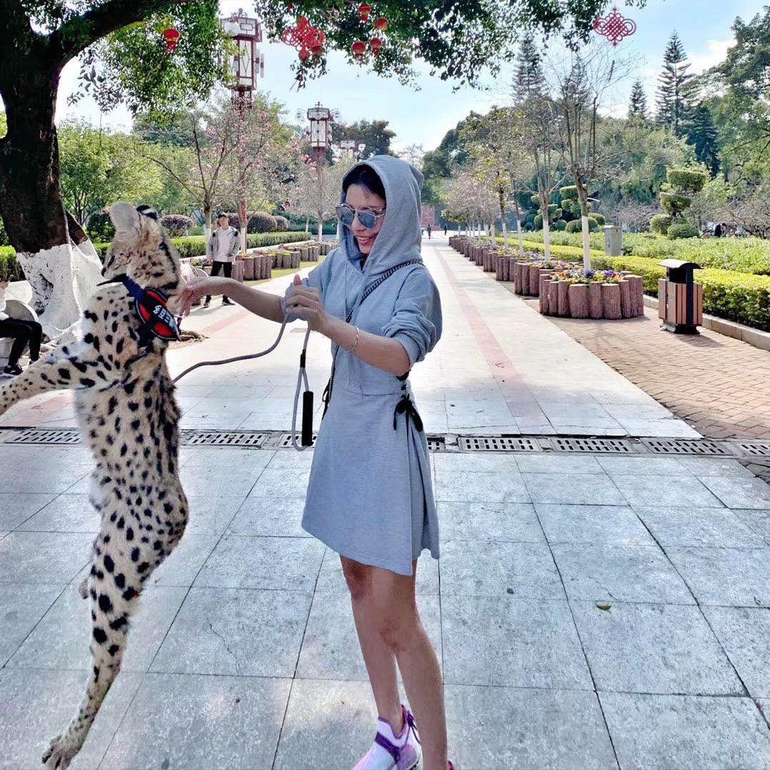 三妹的摆烂日记