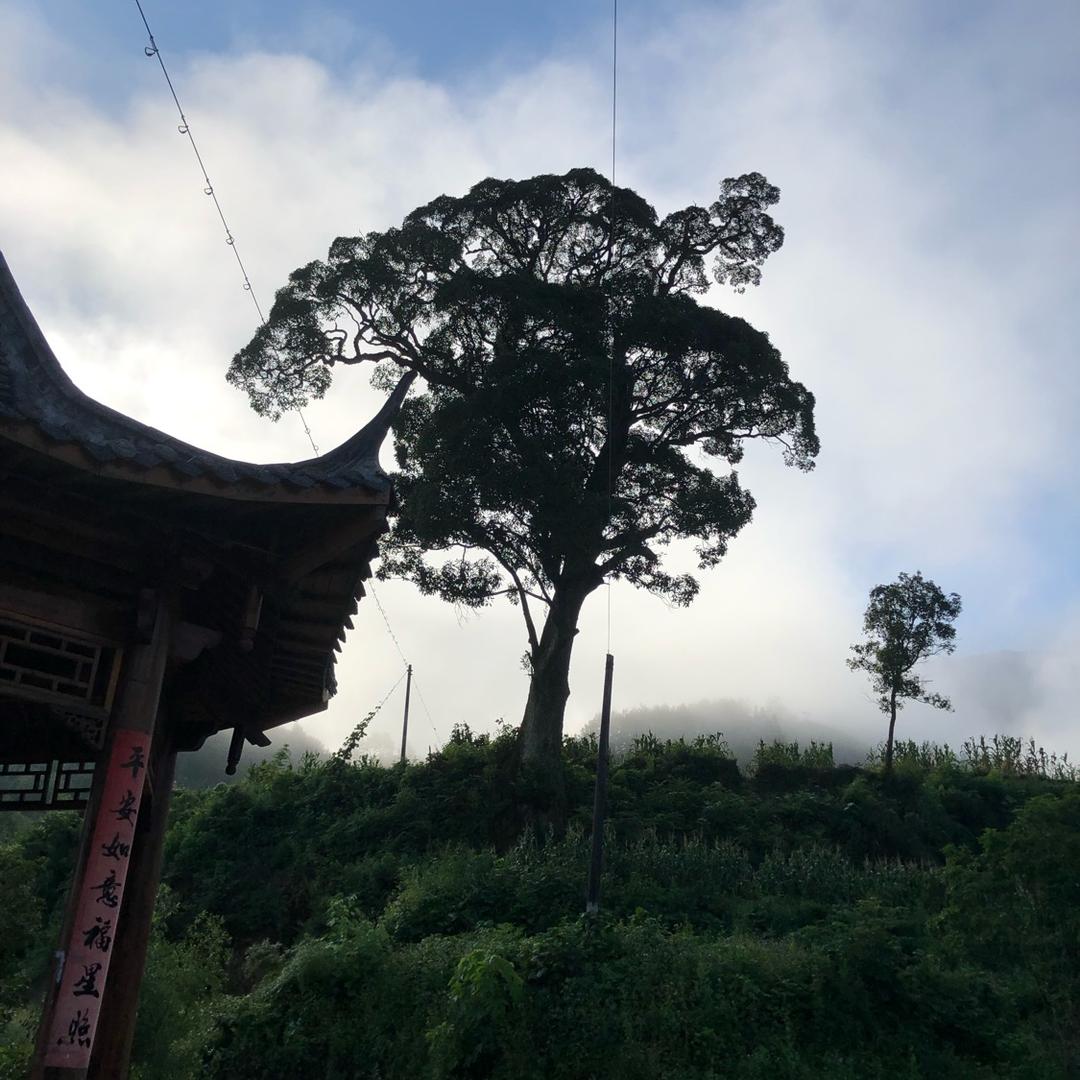 -华晟