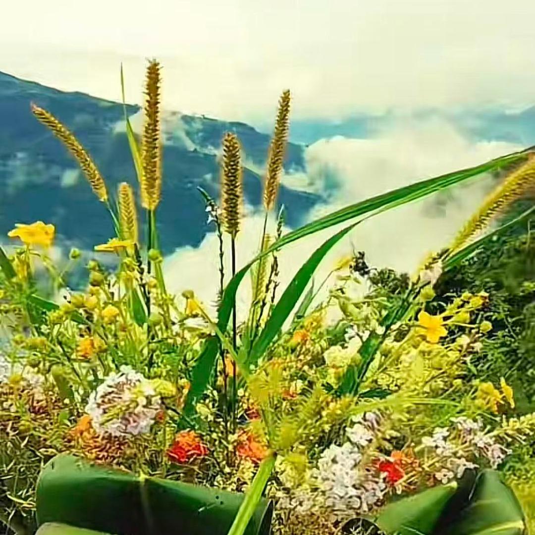 এ᭄🚬꧔ꦿ爺℘們ᝰ愛᭄ᩚ꯭ᩚ財