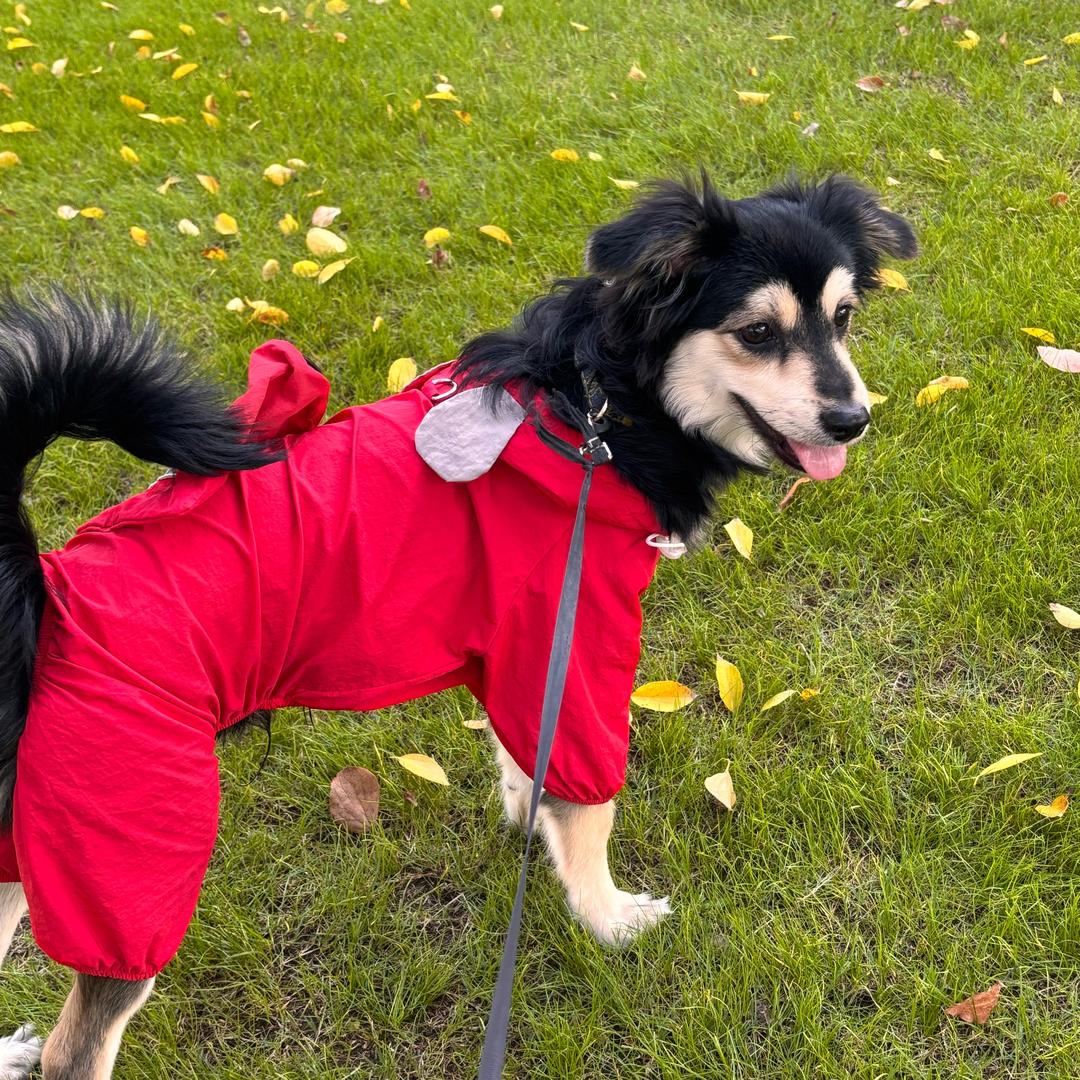 Yiki有点社交牛逼症