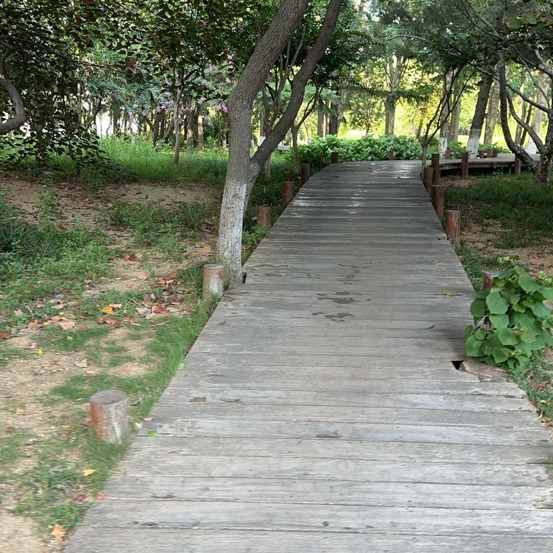 巴顿巴顿