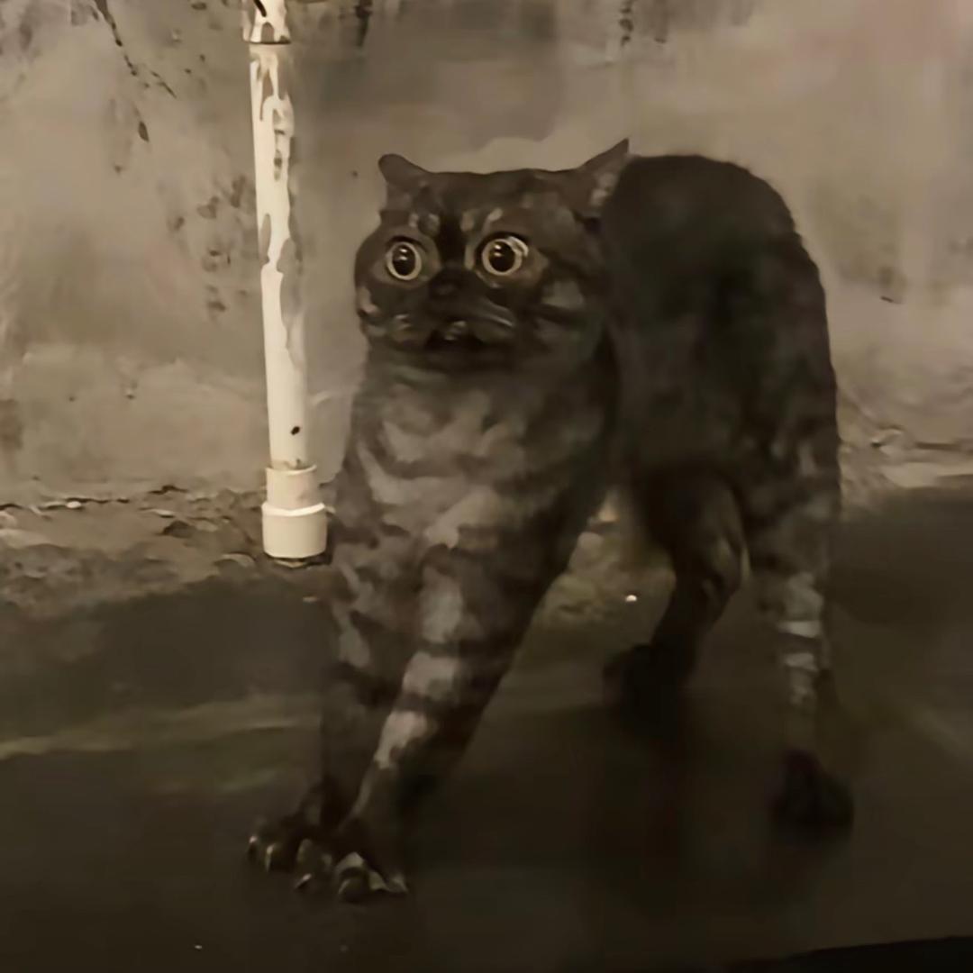阿妏