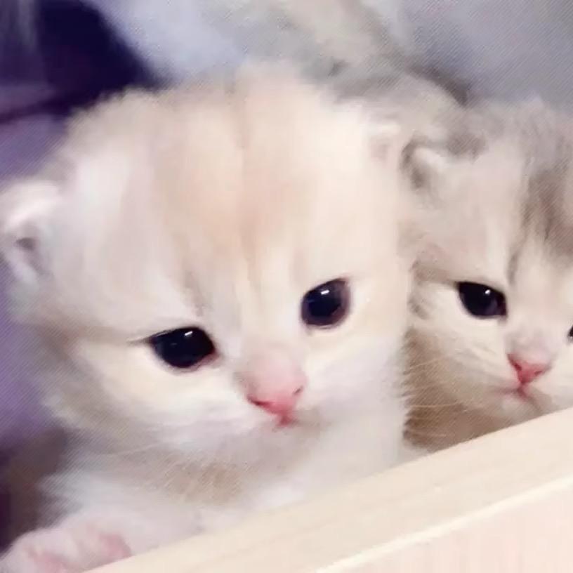 等香港第一场雪