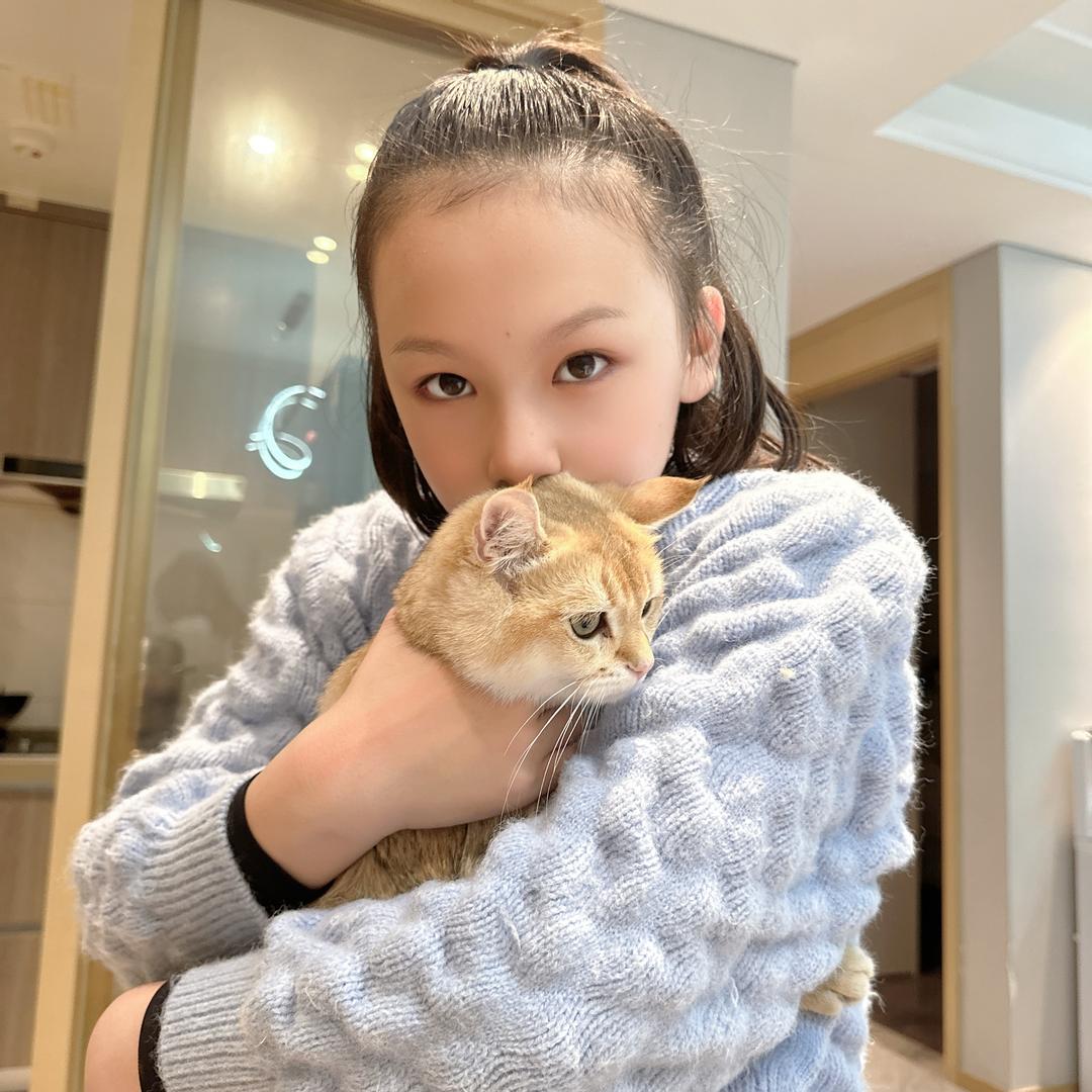 小羊梓.