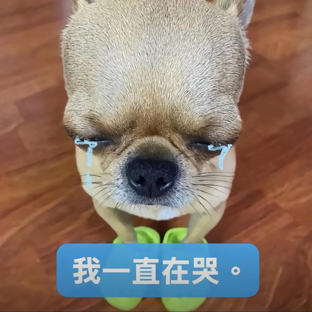 家有神兽（梓涵麻麻）