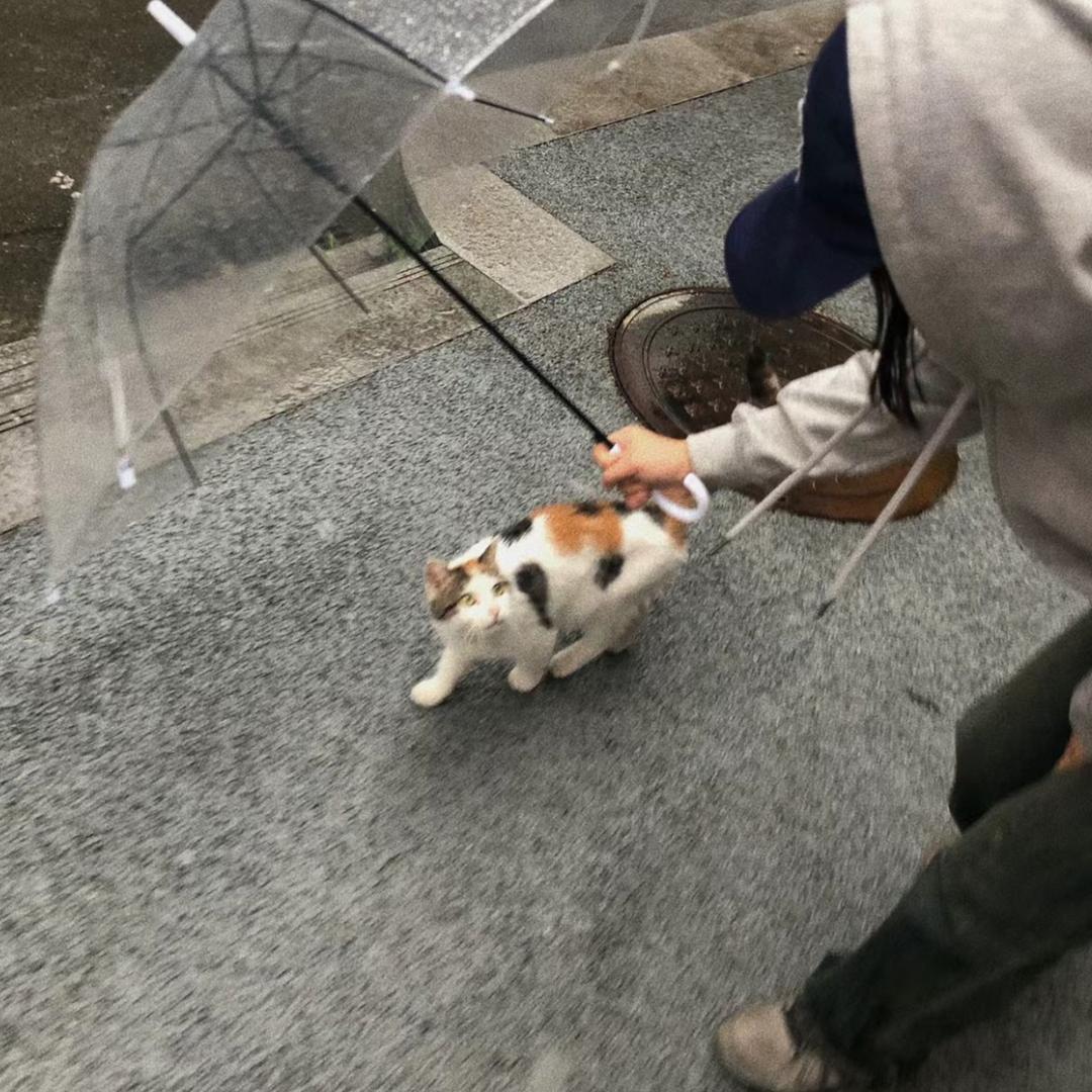 十七🌈