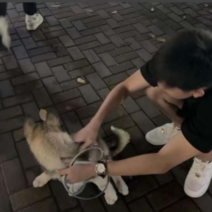 帅到被砍十六刀