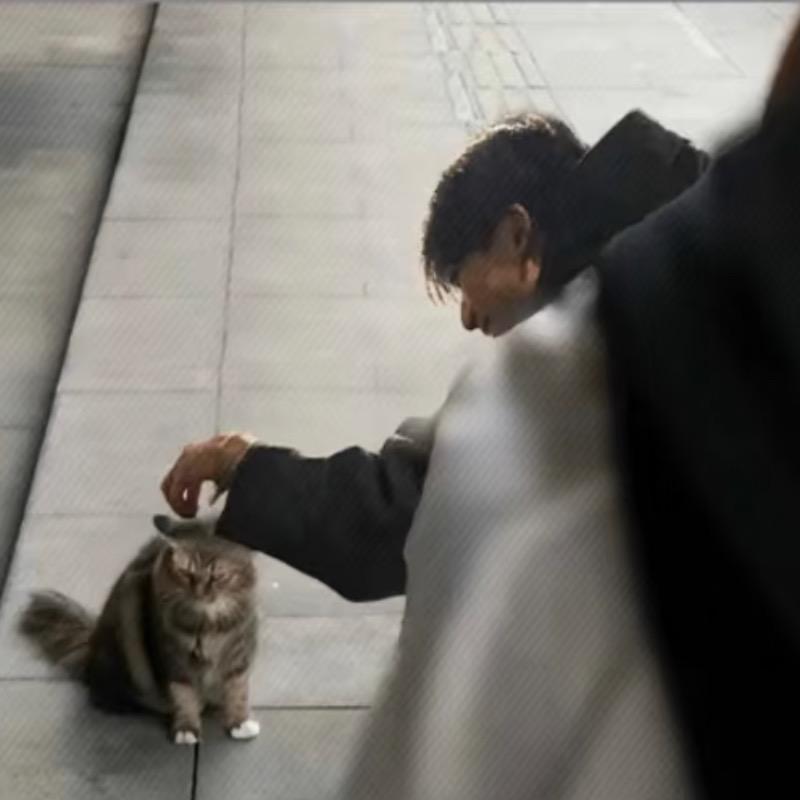 梵律