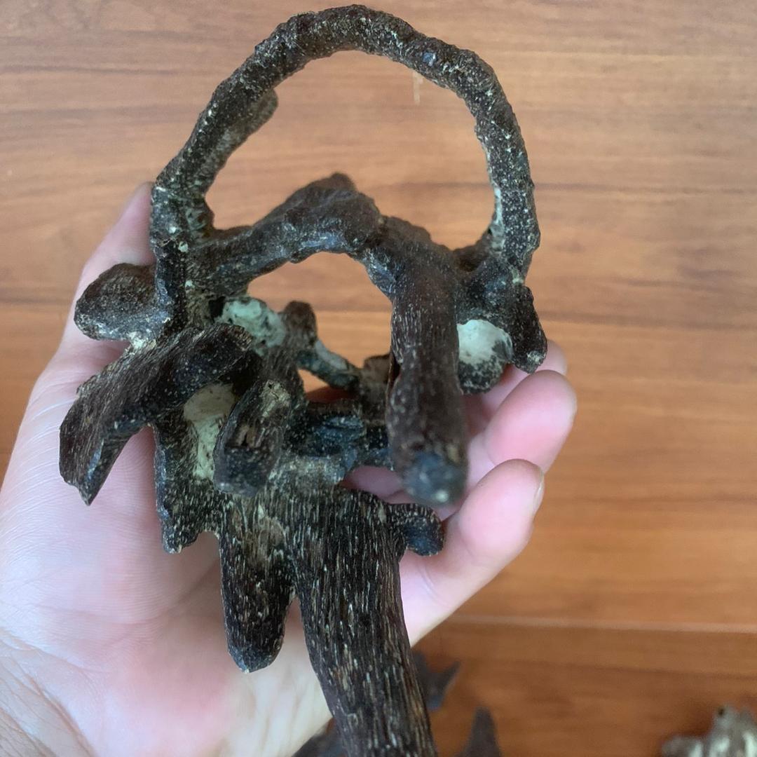 镇隆贤和沉香工艺