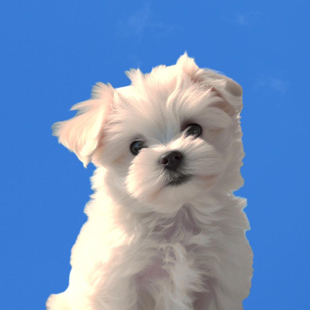 里里吼