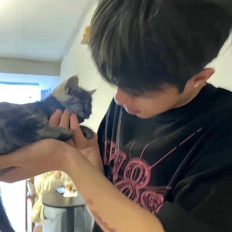 小齐6（点🥚嘟嘟）