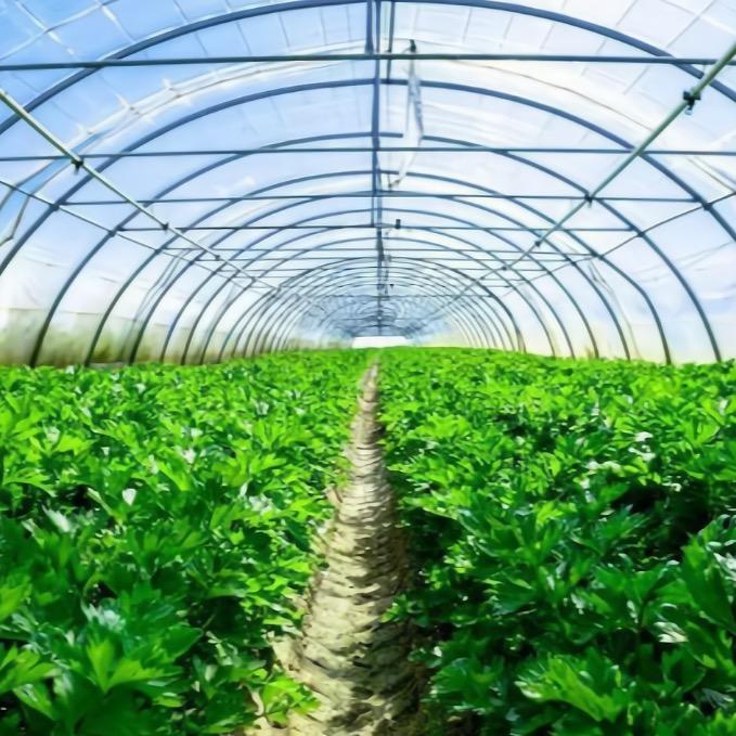 高州种植大棚弯管