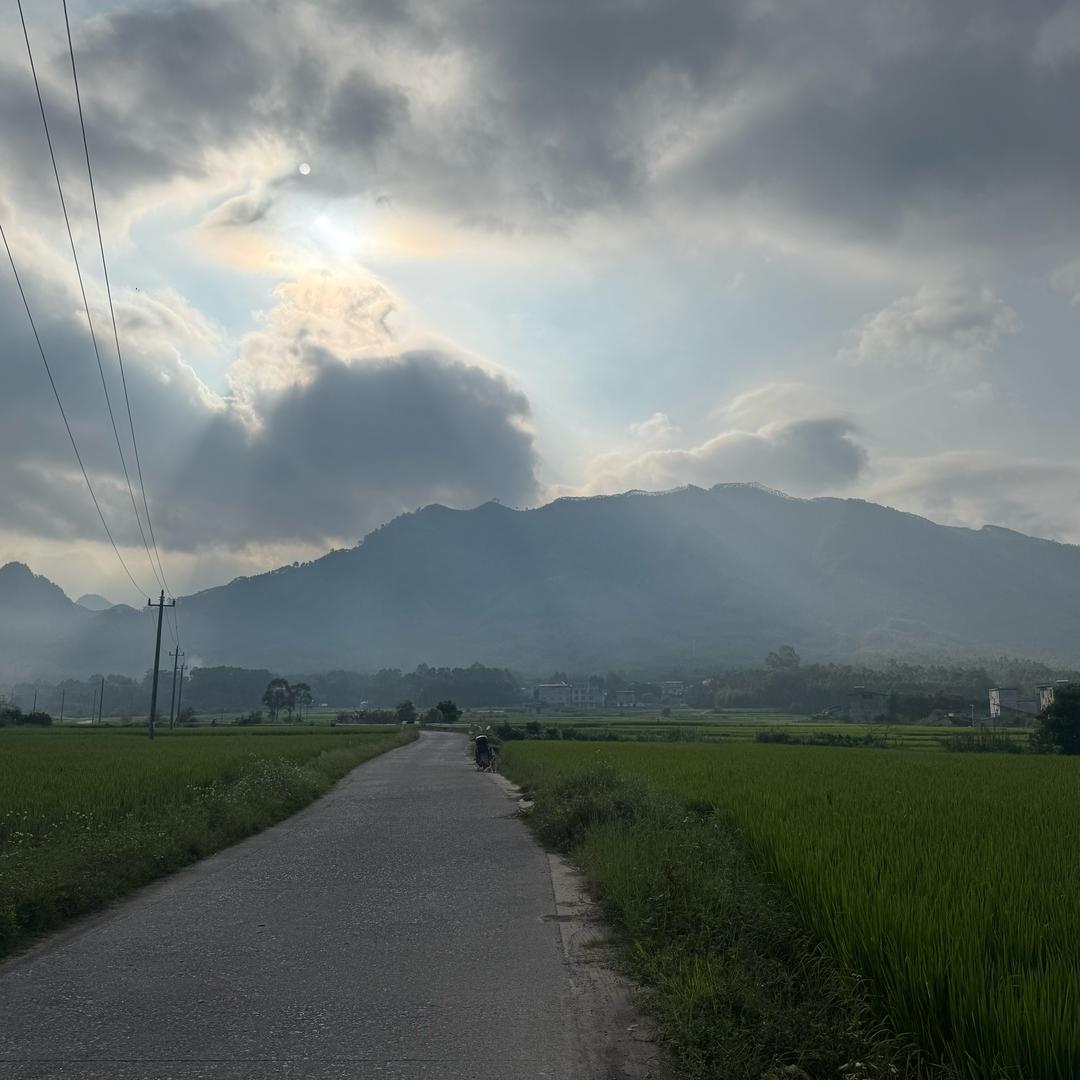 锦伯自动化