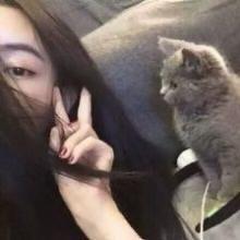 不爱吃苦瓜的张张
