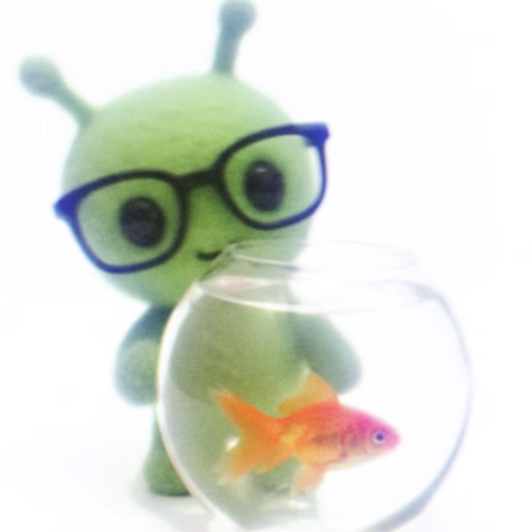 让子弹先飞一哈儿