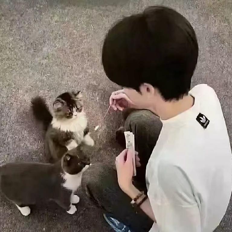 游戏小魔王