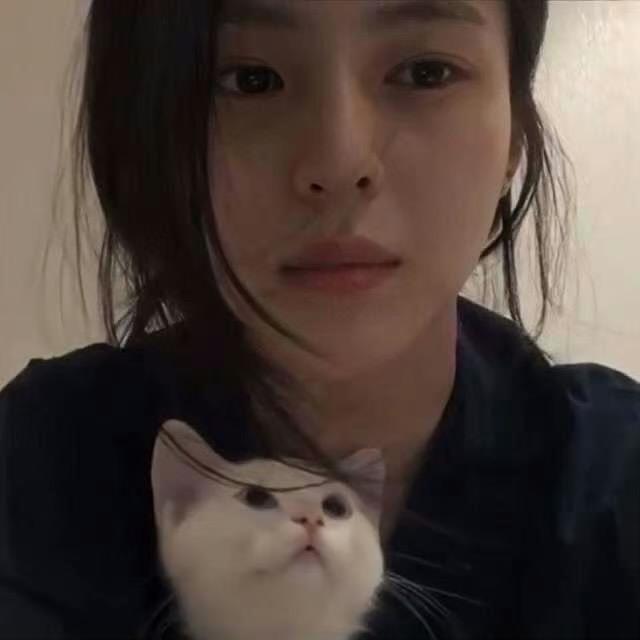 洋芋的玉