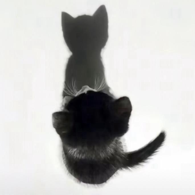 网恋被骗二万又准备了四万