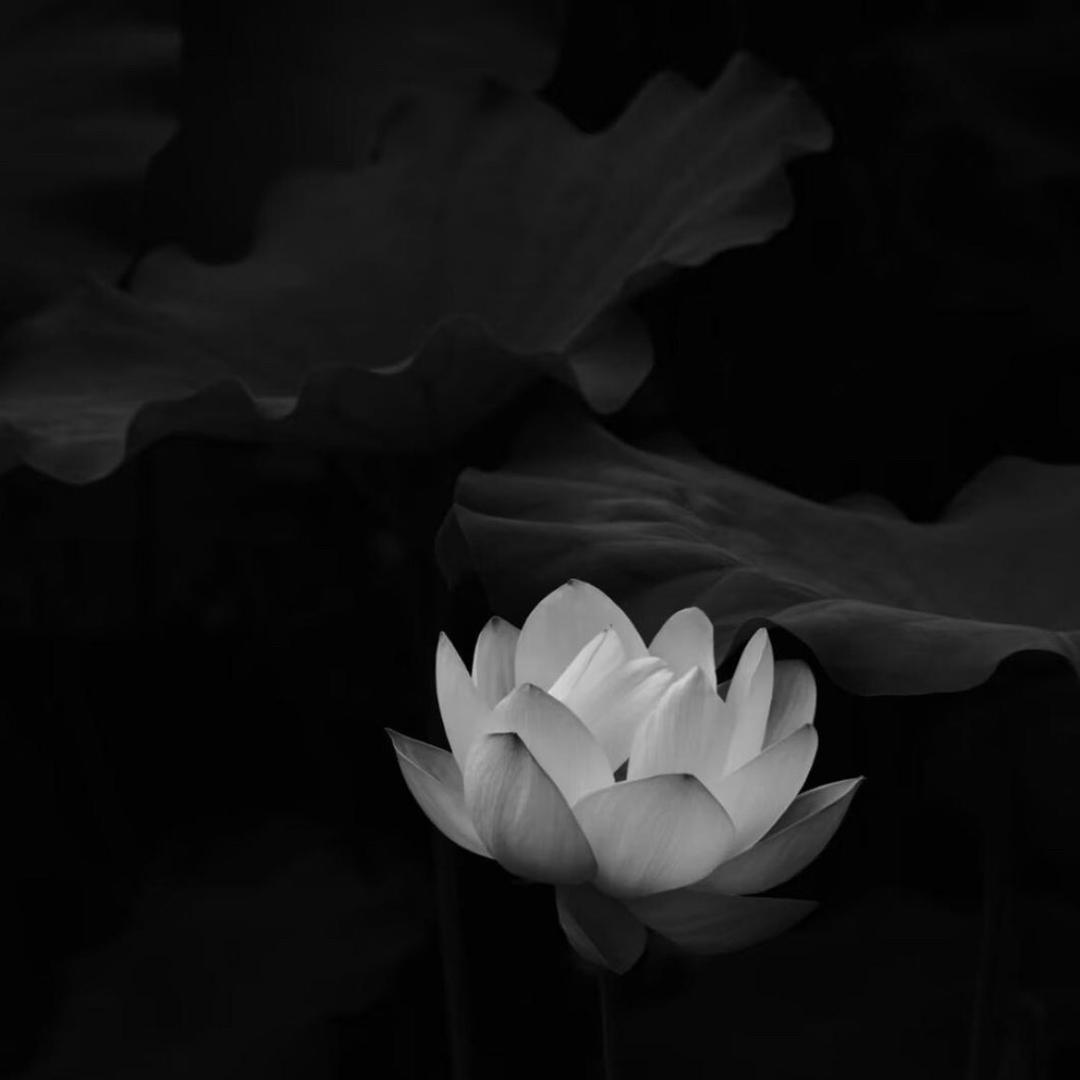 再无感情