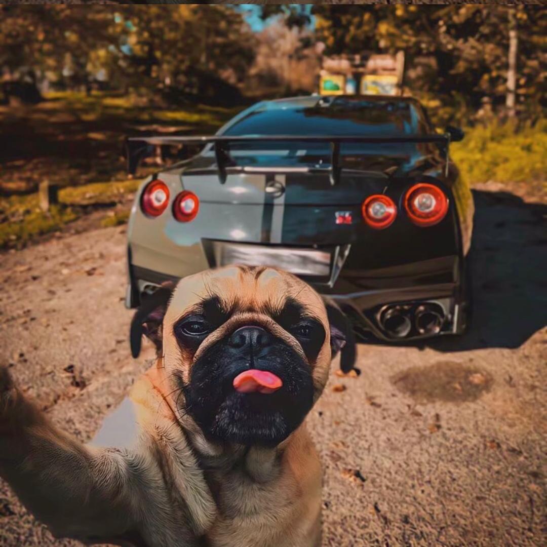 L