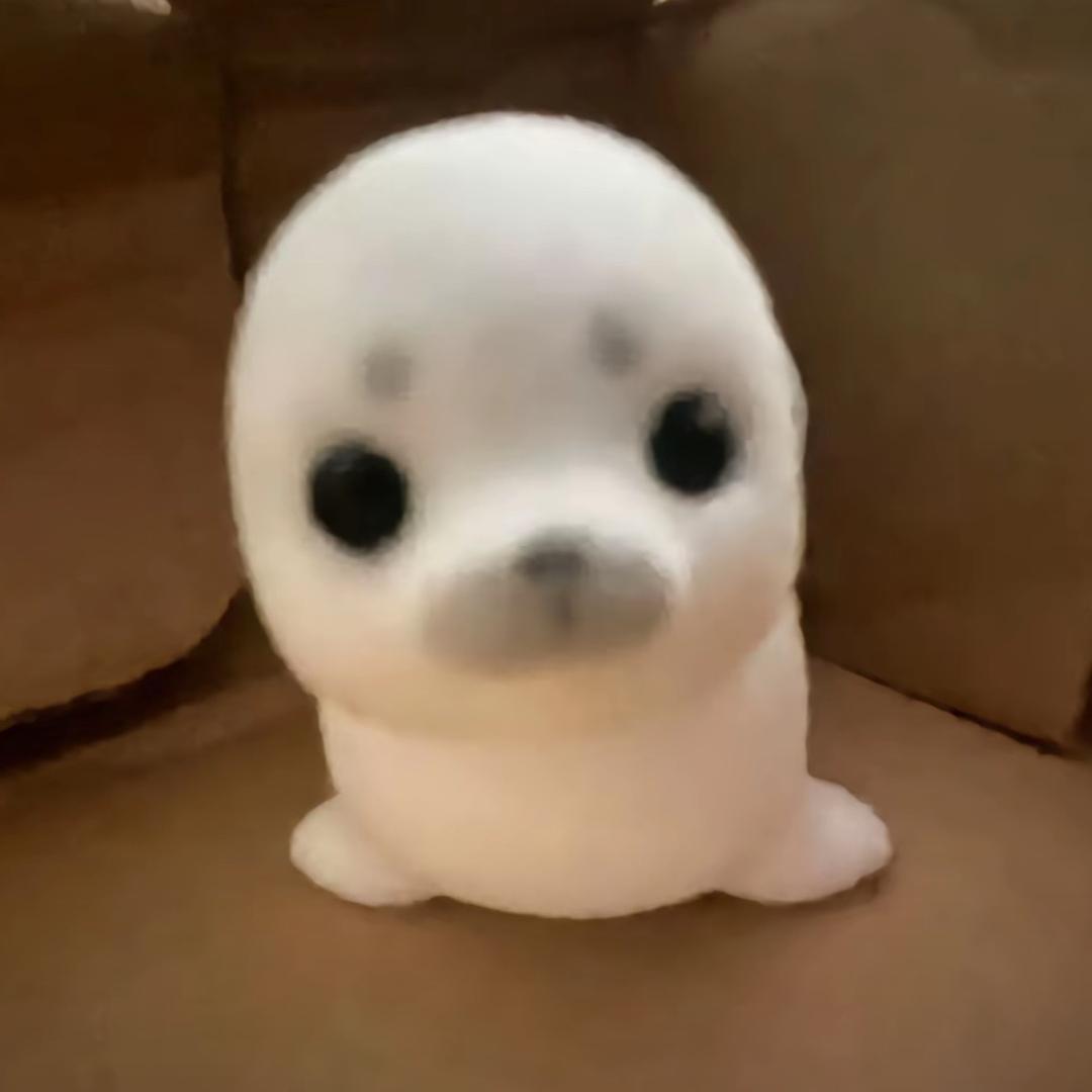 兔丸•∞︎•