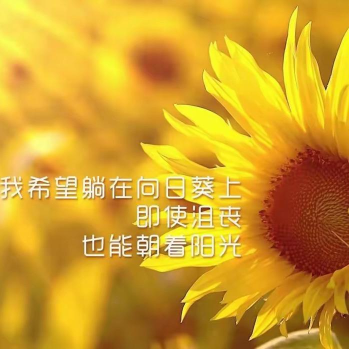 半岛旧情