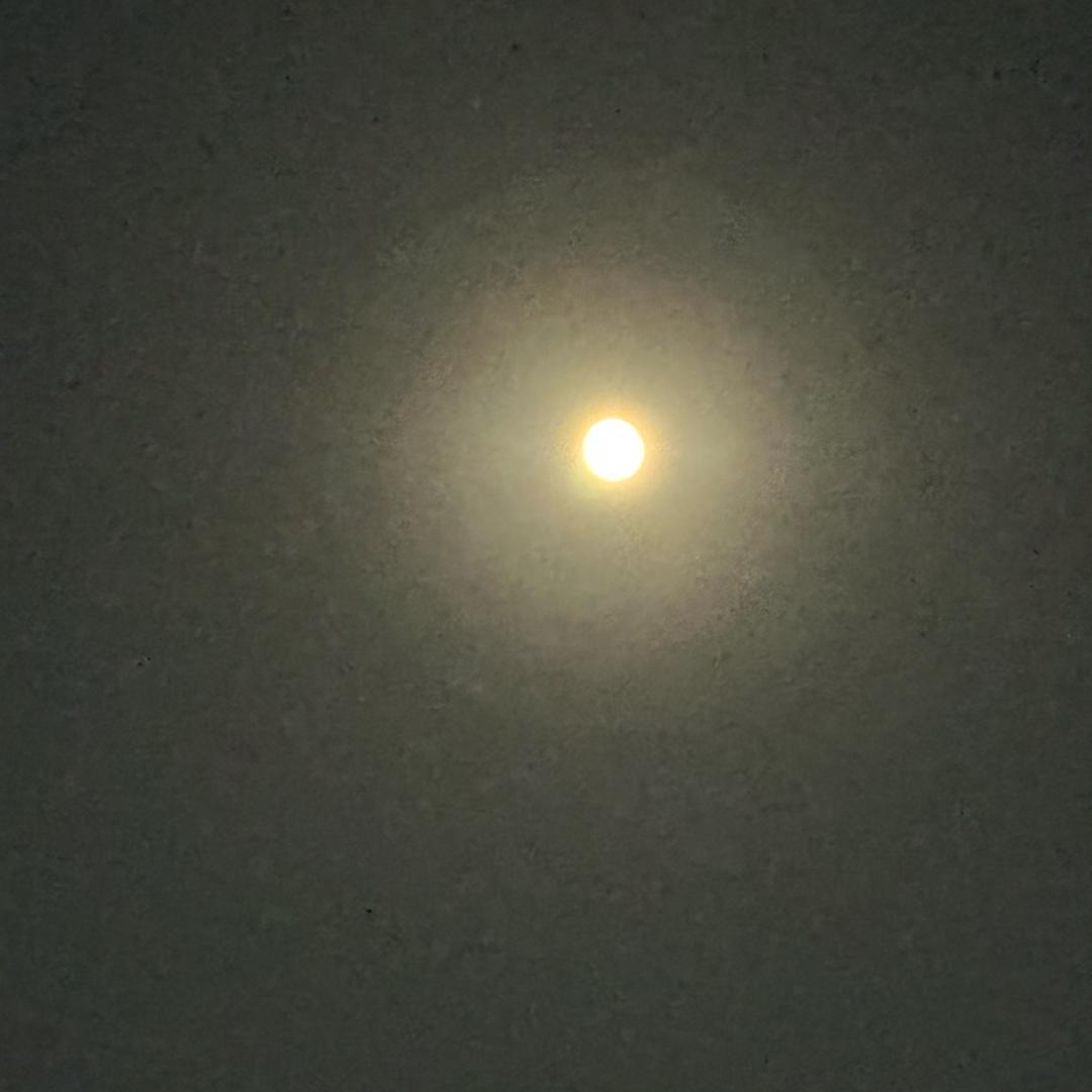 Aurora  1