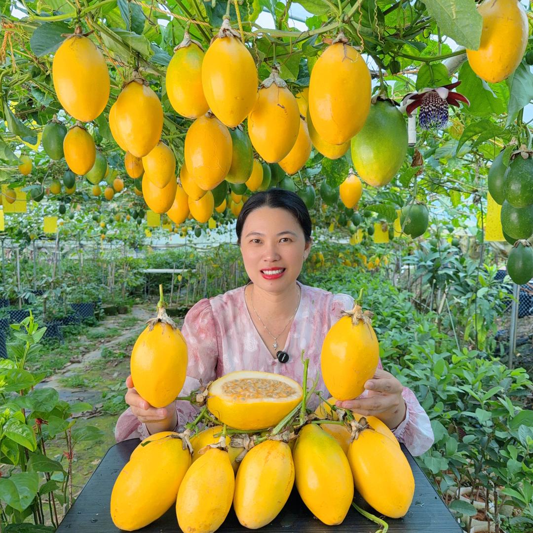 优晟农业果树苗基地