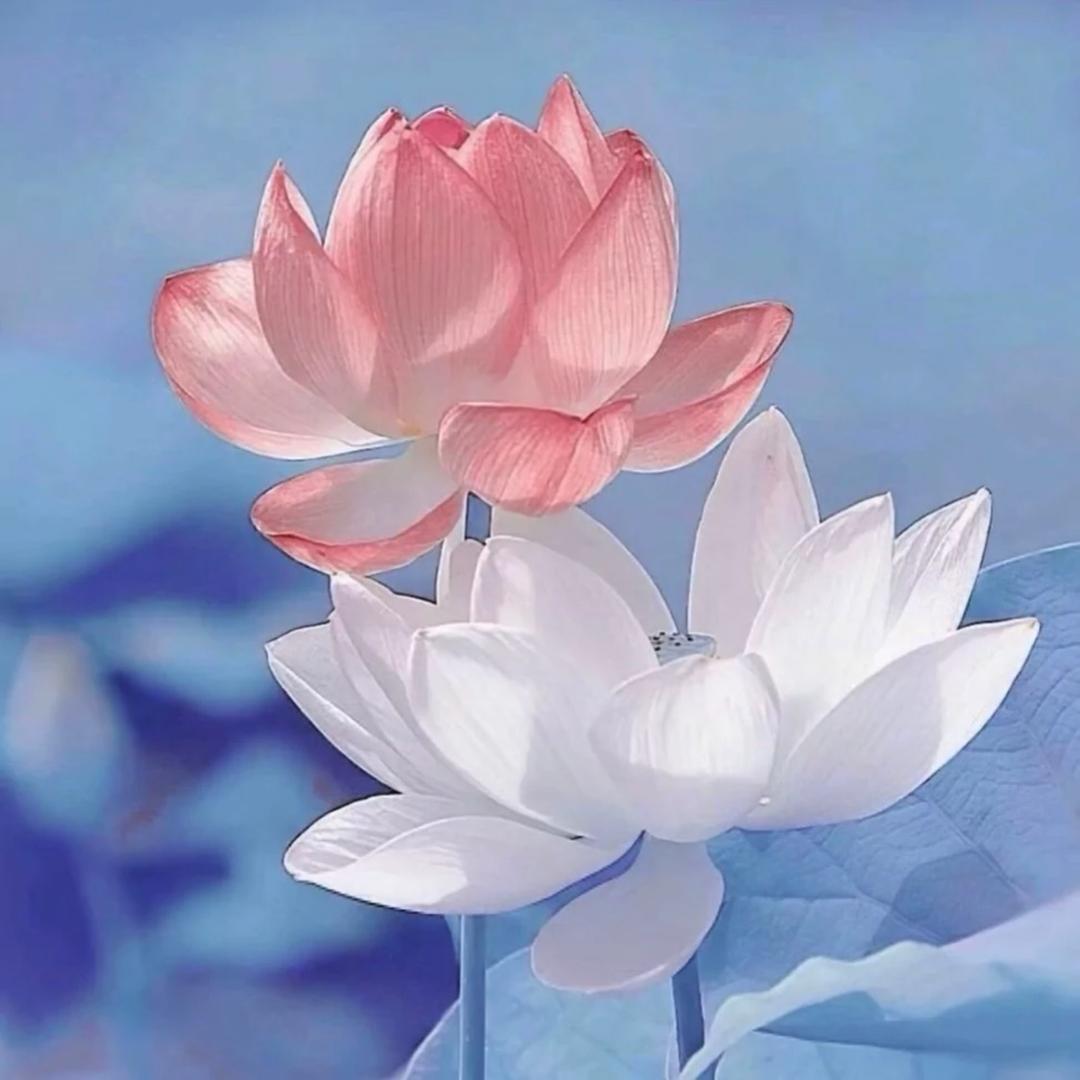 平淡.