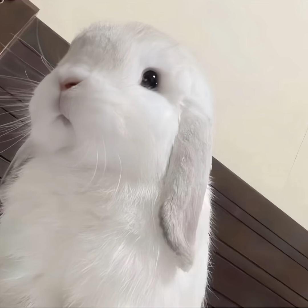 看到你就烦