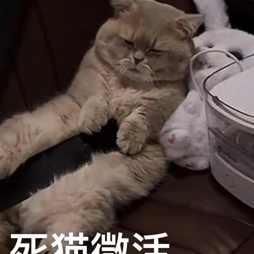 漫漫