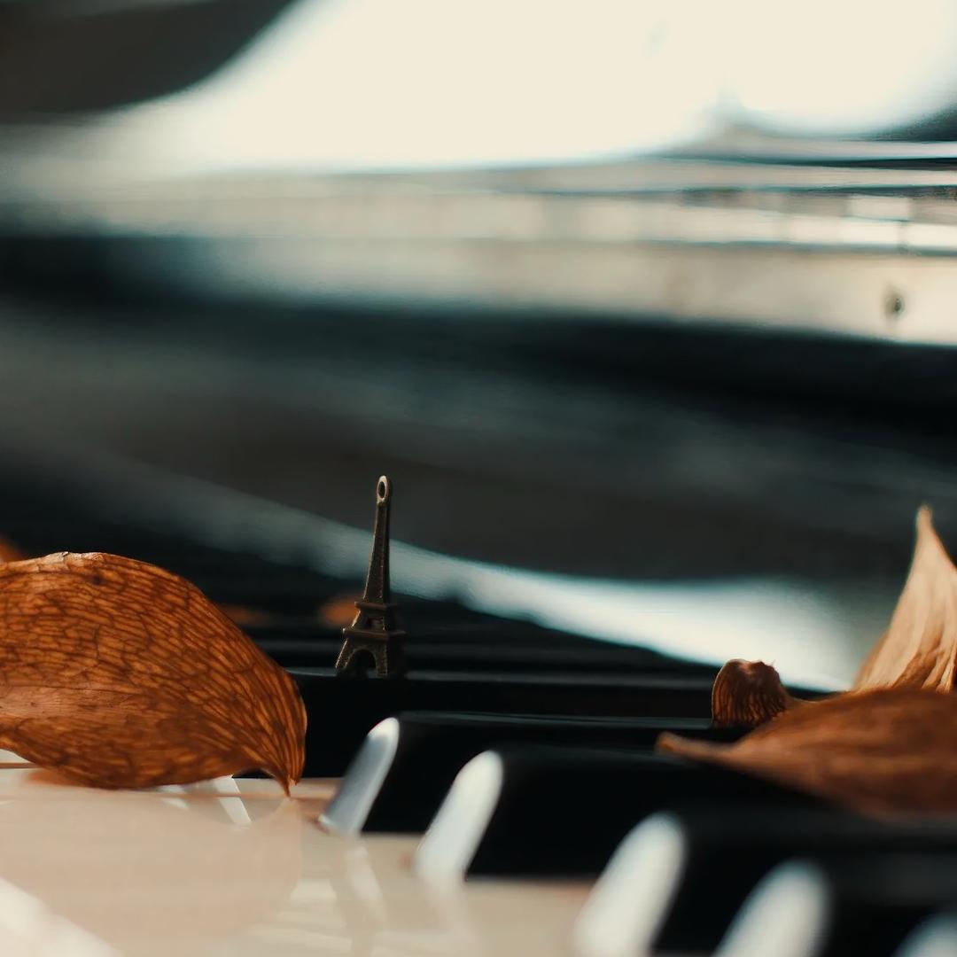 华华🎹🎤