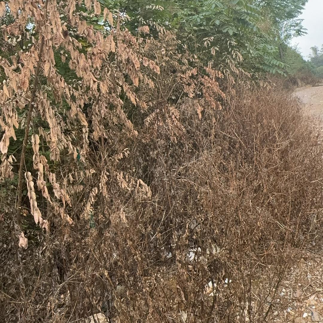 老廖农资
