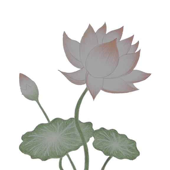彬彬有你