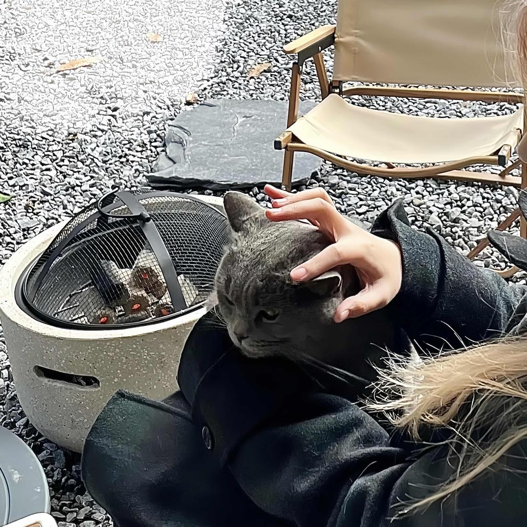 苦情歌我用爱写.