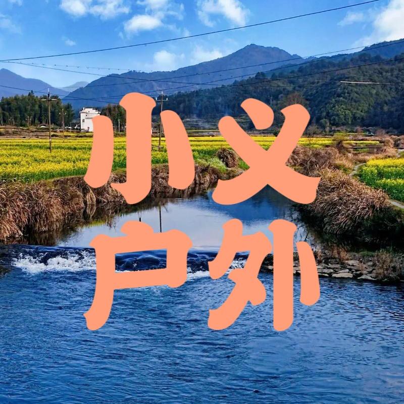 小义脉冲探测器厂家