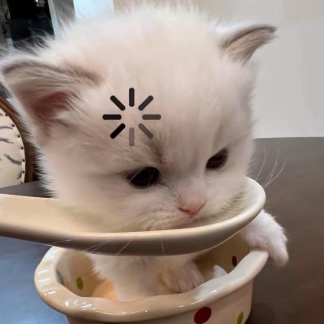 玉米排骨是玉米