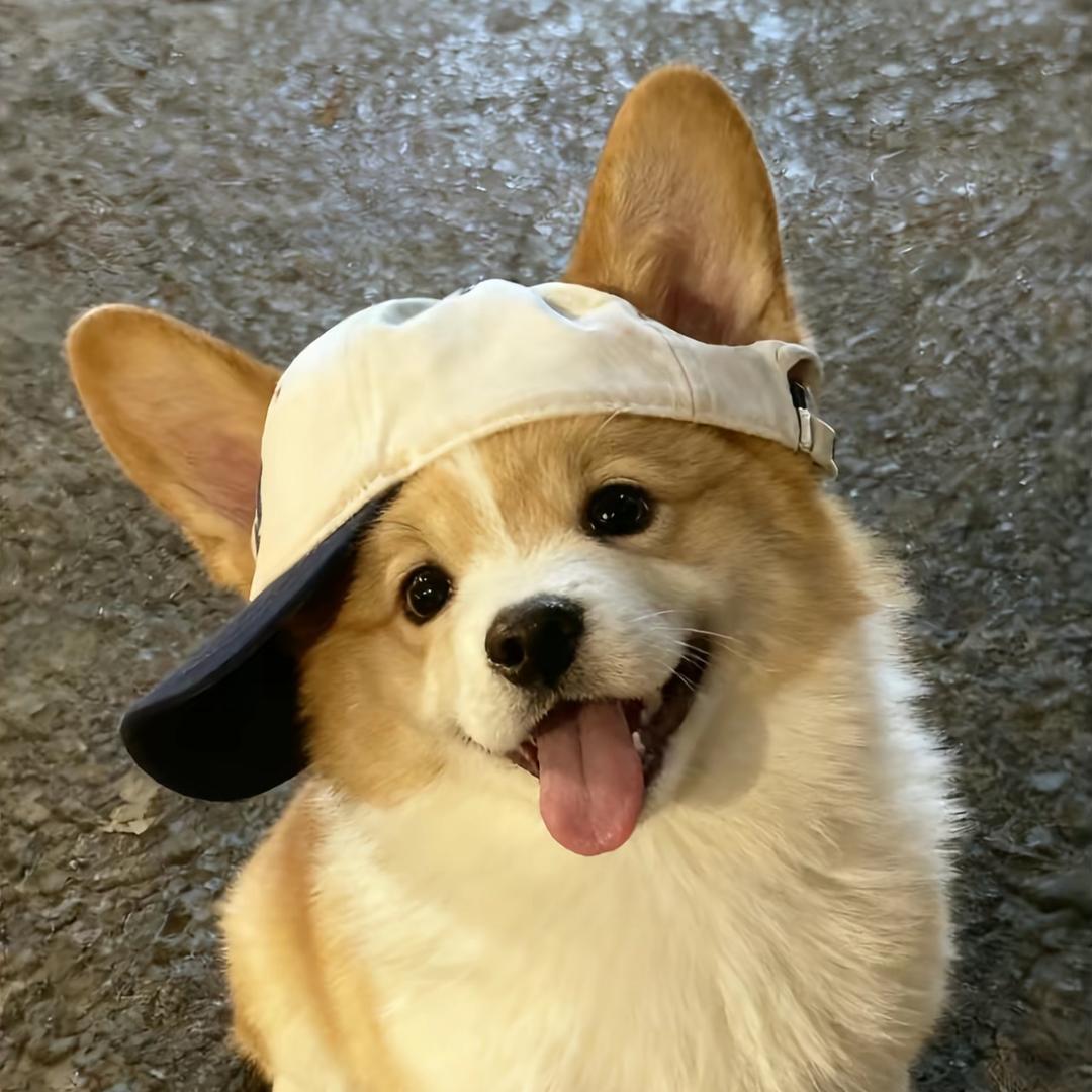 拽拽Ho（路亚流浪版）