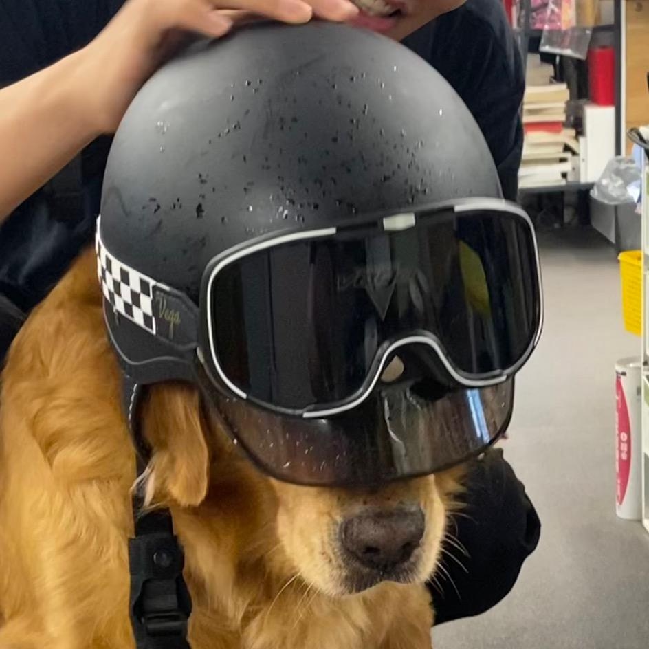 名字是个好问题